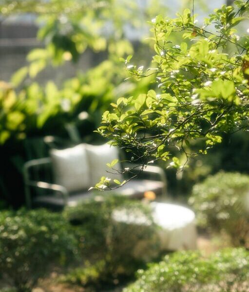 Tips for Creating a Relaxing Outdoor Space in Your Backyard