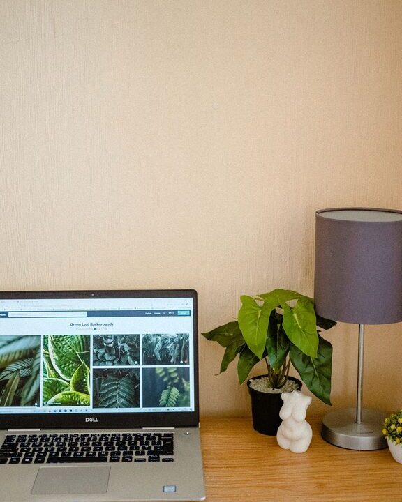Tips for Creating a Cozy and Functional Home Workspace